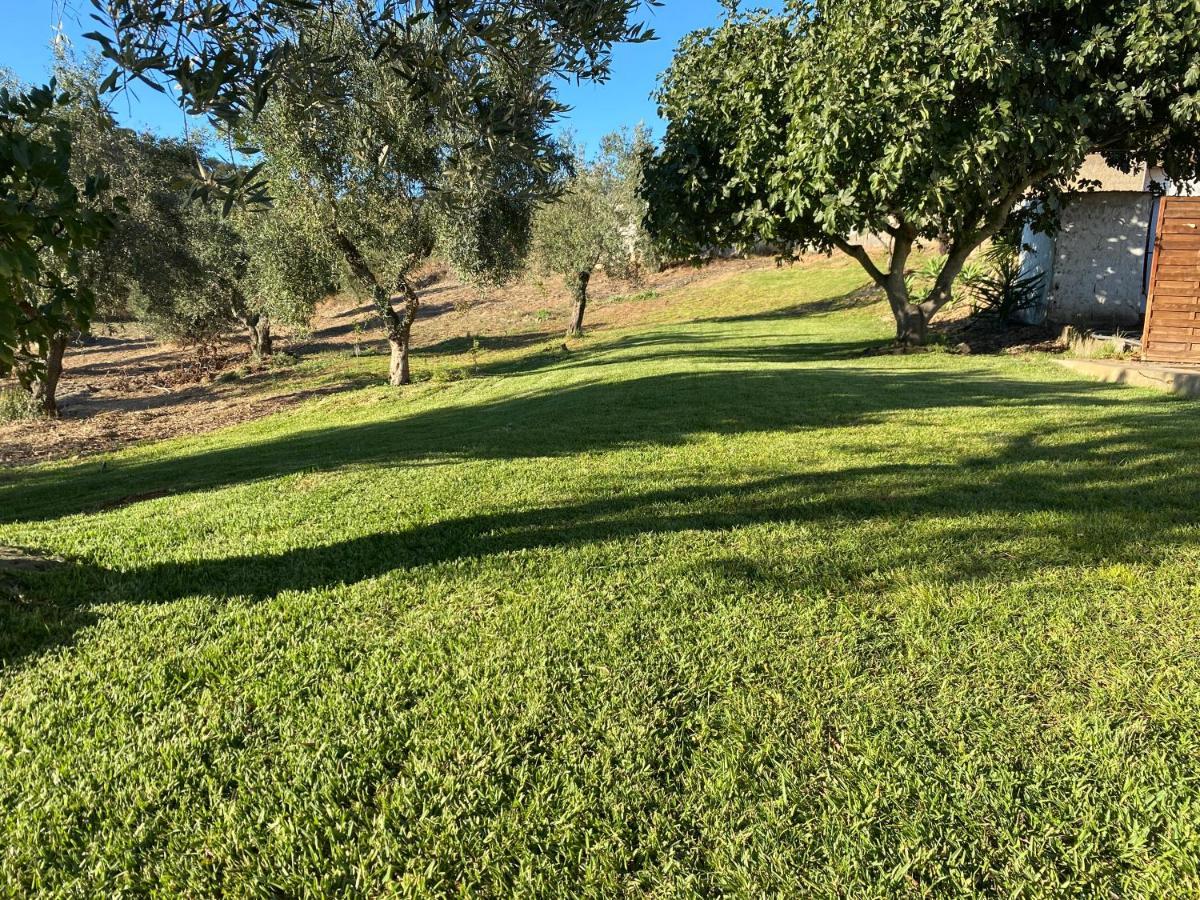 Вилла Monte Da Alameda - Piscina Aquecida Santa Luzia  Экстерьер фото